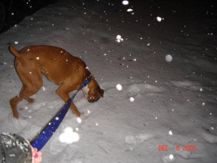 Snow!
