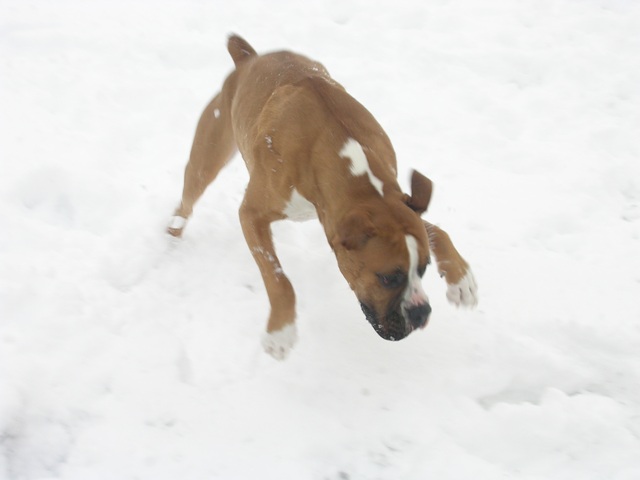 Snow