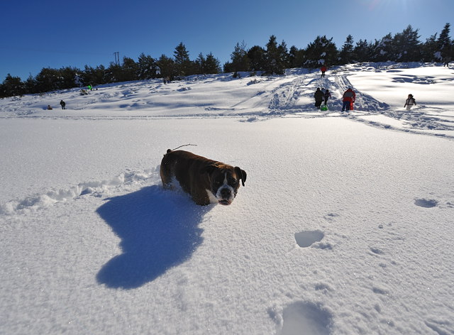 snow