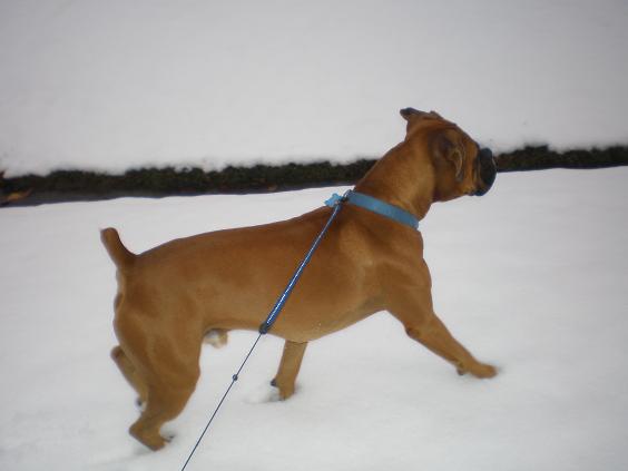 snow