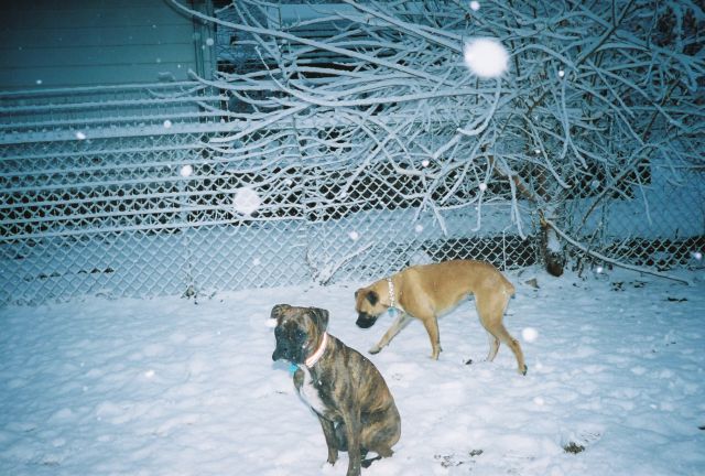 snow1