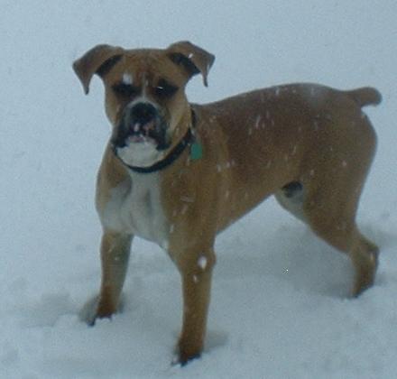 snow_Zeus