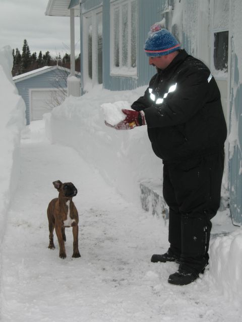 Snowball fun