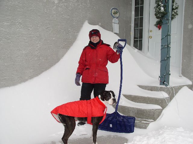 Snowed in...