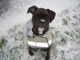 SnowonNose_1_