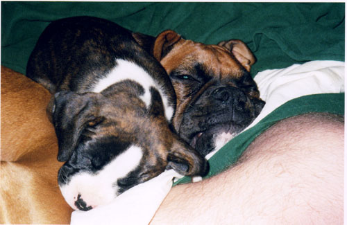 Snubble buddies