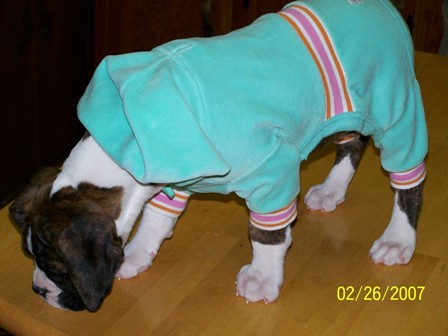 snug_fit