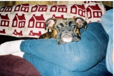 Snuggle Bug