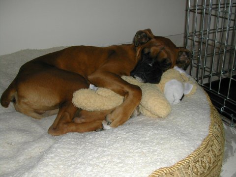 Snuggle time