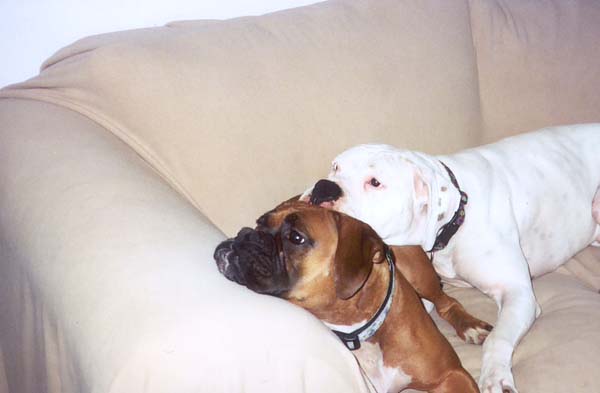 snuggle