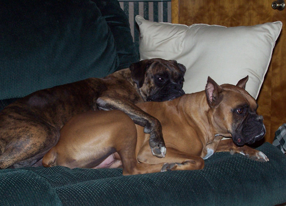 Snuggle_boys_1