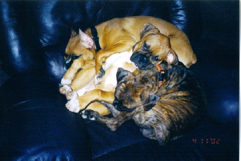 snuggled in the middle