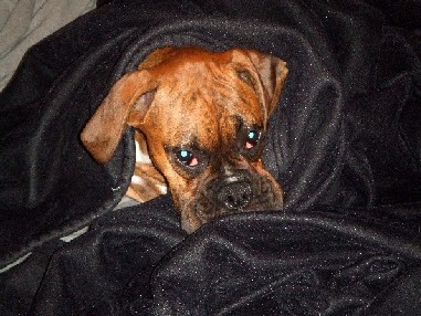 Snuggled in