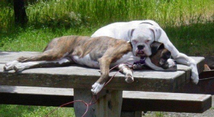 Snugglin