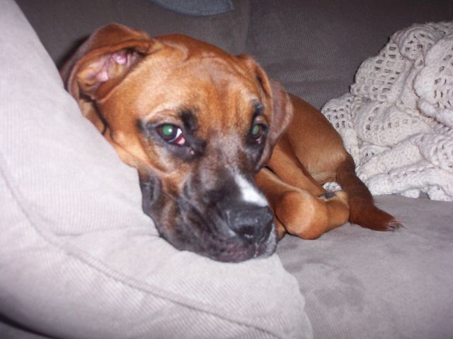 Snuggling on the couch