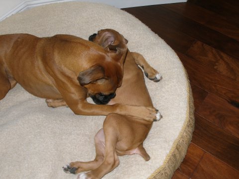 Snuggling with baby brother