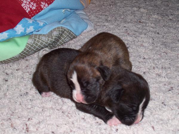 Snuggling with his brother