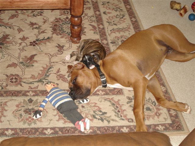 Snuggling with the baby...so sweet!