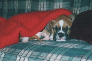 Snuggly Sweater