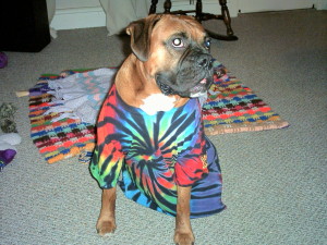 So Colorful!