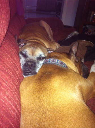 So Comfortable!