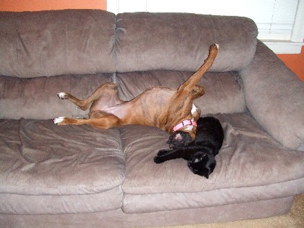 So comfy!