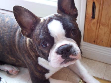 So Cute!