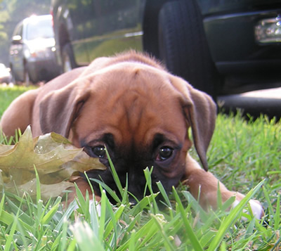 So Cute
