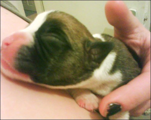 So cute