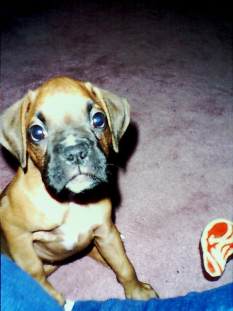 So cute!