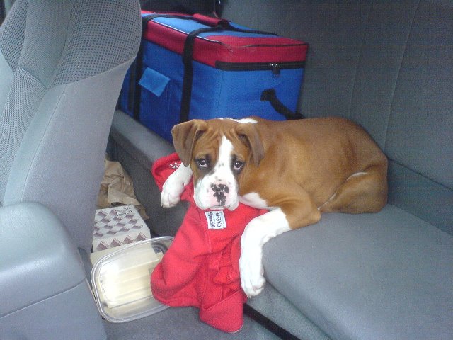 so Damned Cute