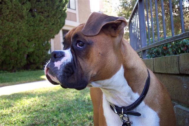 So Focused