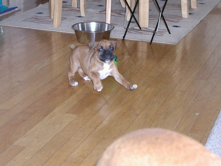 So little,  but so playful