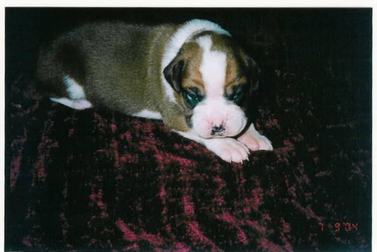 so little
