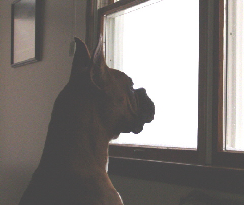 So much snow, so little time!