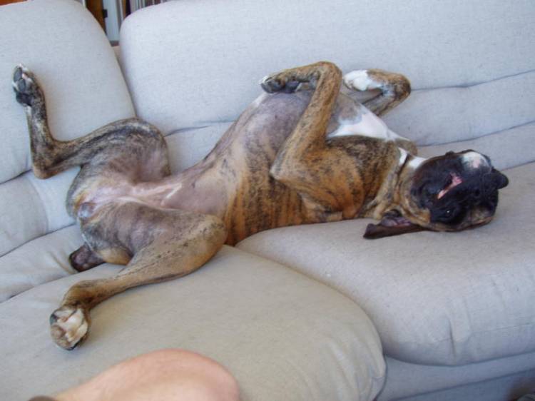 so sleeeepy