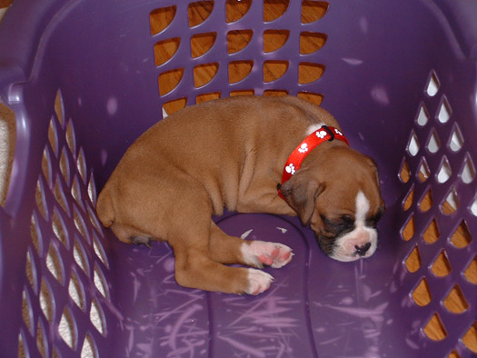 So Sleepy