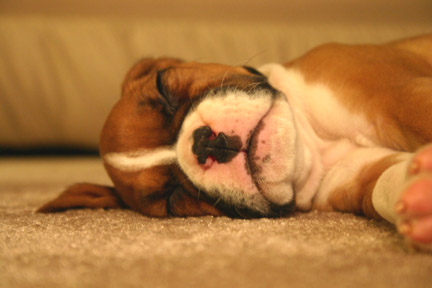 So sleepy!