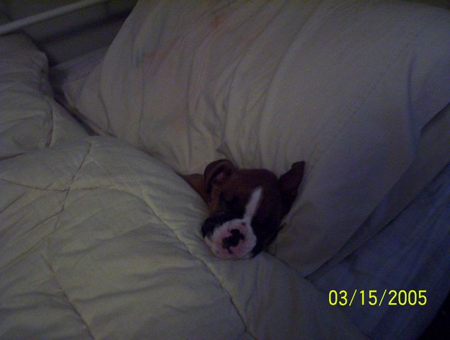 so sleepy
