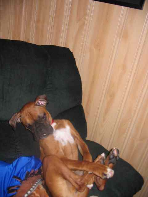 So Sleepy