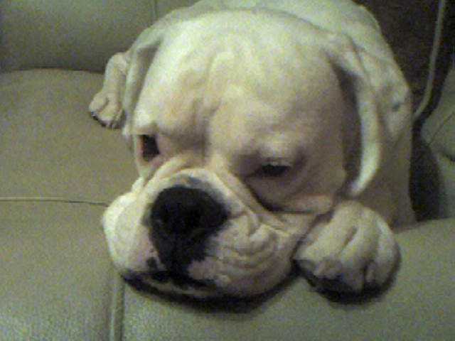 So sleepy.....