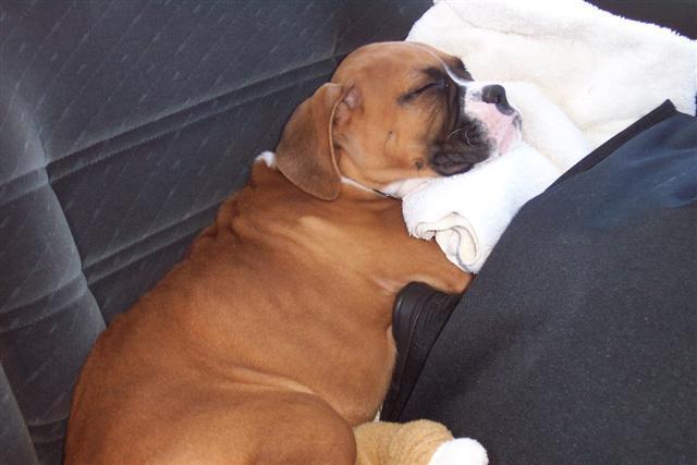 So Sleepy