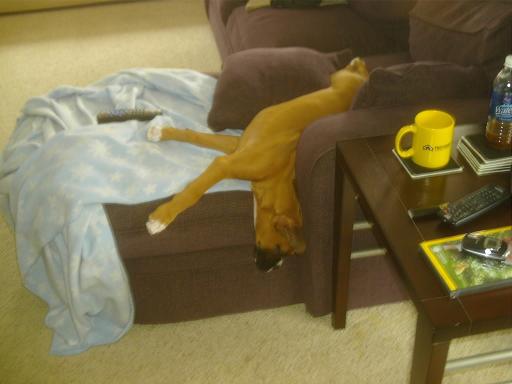 So sleepy!!