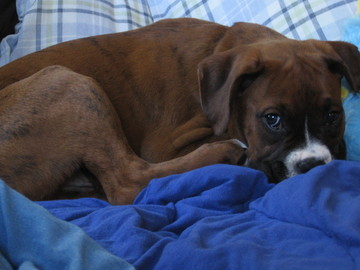 So sleepy...