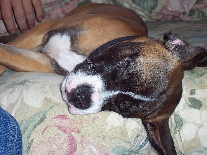 So Sleepy