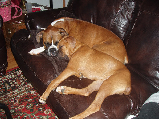 So sweet