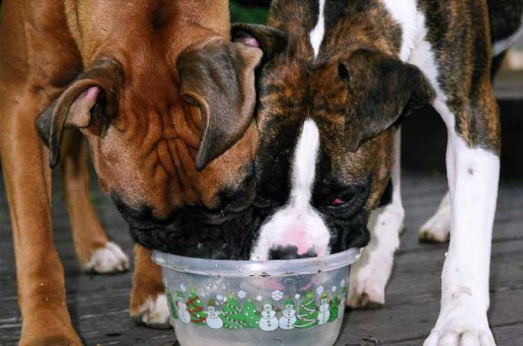 So thirsty.......................