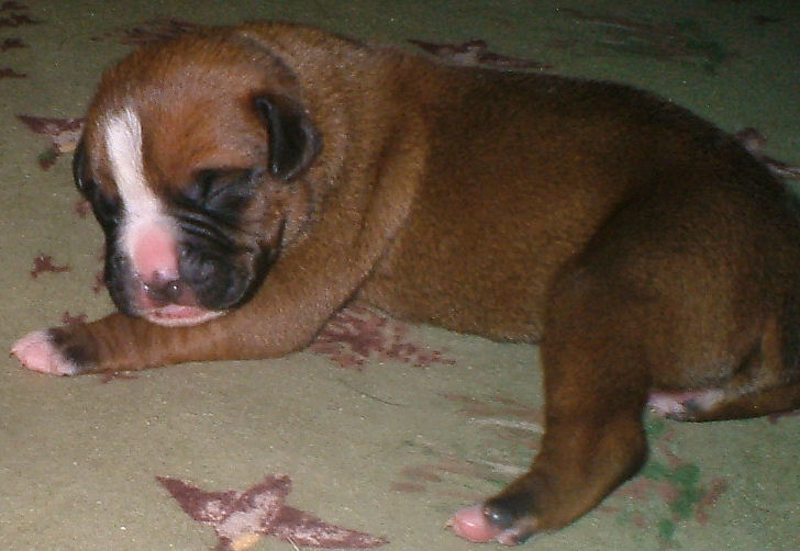 So Tiny
