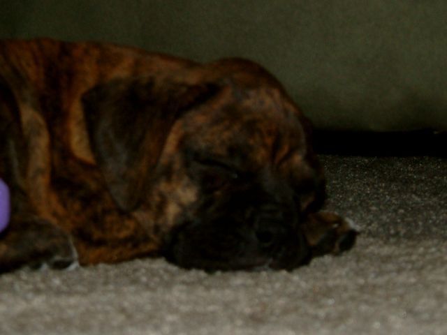 So tired...