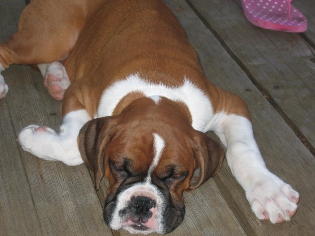 So tired!
